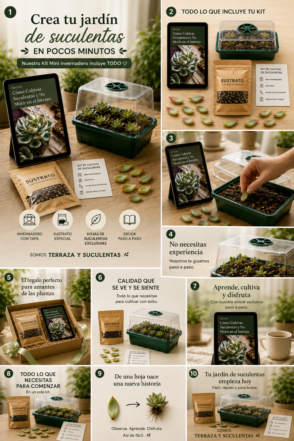 🌿 Kit Mini Invernadero para Propagar Suculentas