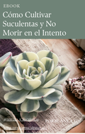 Como cultivar suculentas y no morir en el intento