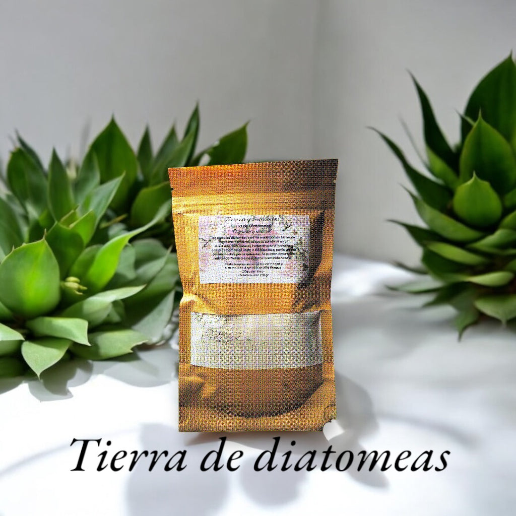 Pack cuidado integral + 1 echeveria solomon exclusiva o ramo de grenovias