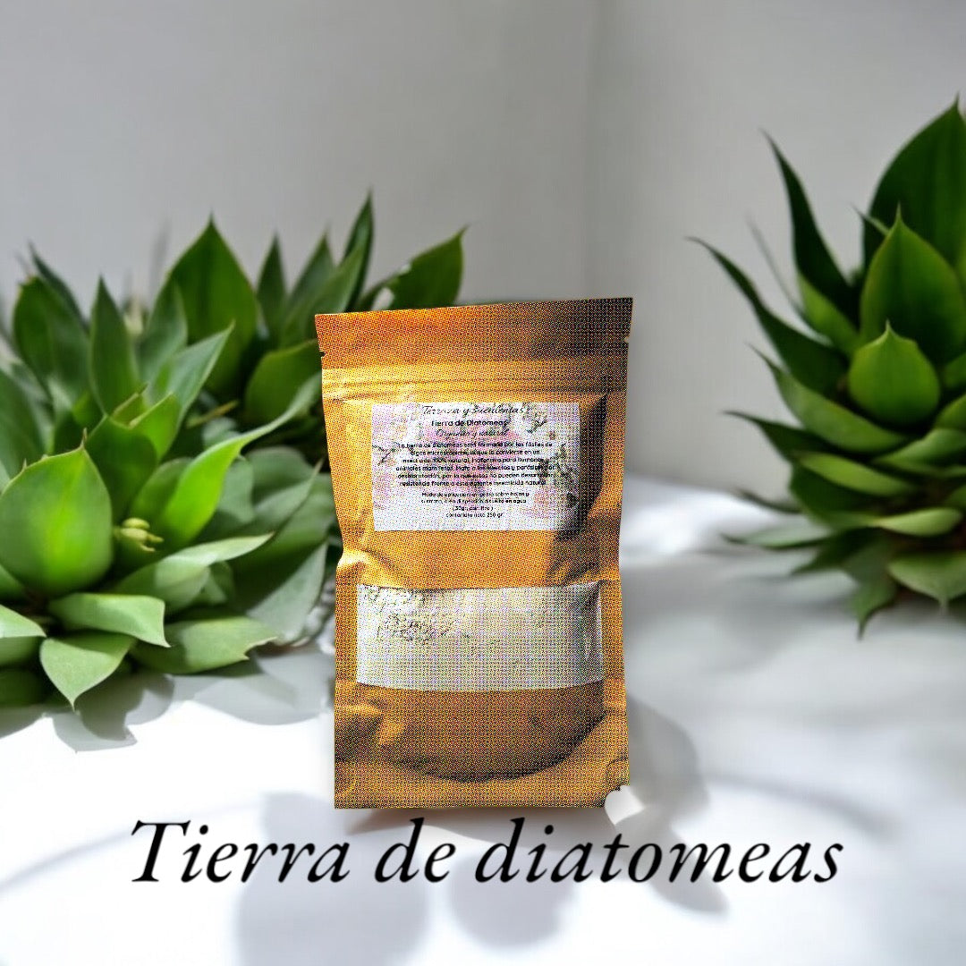 Pack cuidado integral + 1 echeveria solomon exclusiva o ramo de grenovias