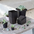 Macetas de plastico con perforaciones 6 unidades
