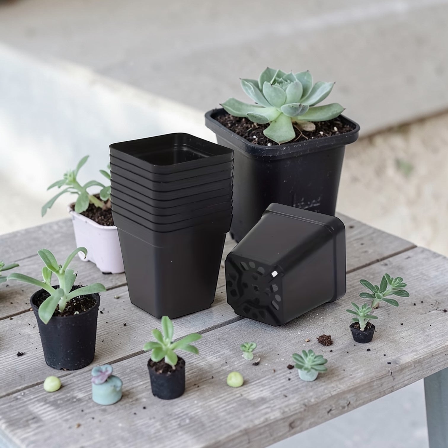 Macetas de plastico con perforaciones 6 unidades