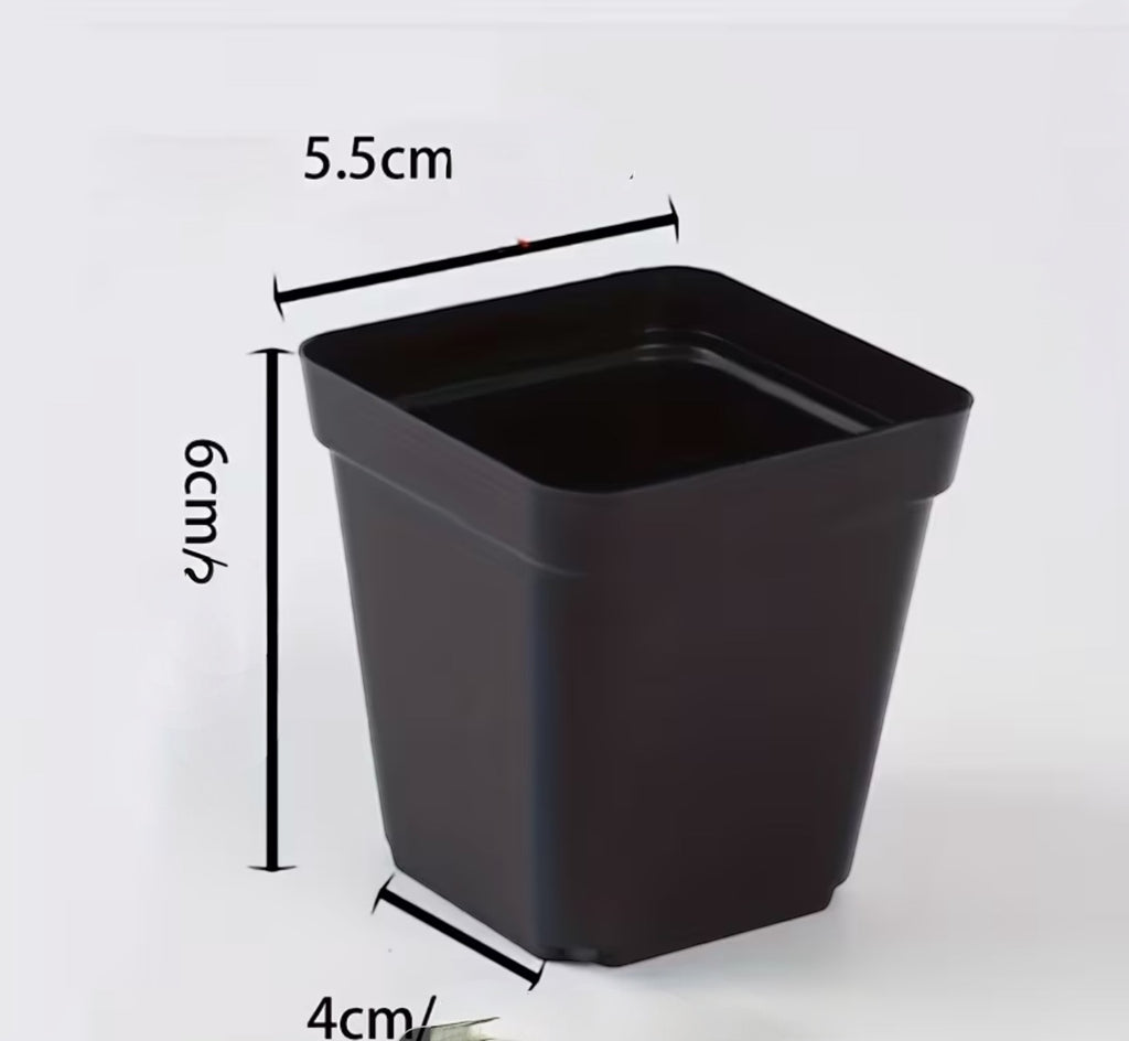 Macetas de plastico con perforaciones 6 unidades