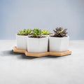 Set de 4 Macetas para Suculentas – Decora tu Hogar